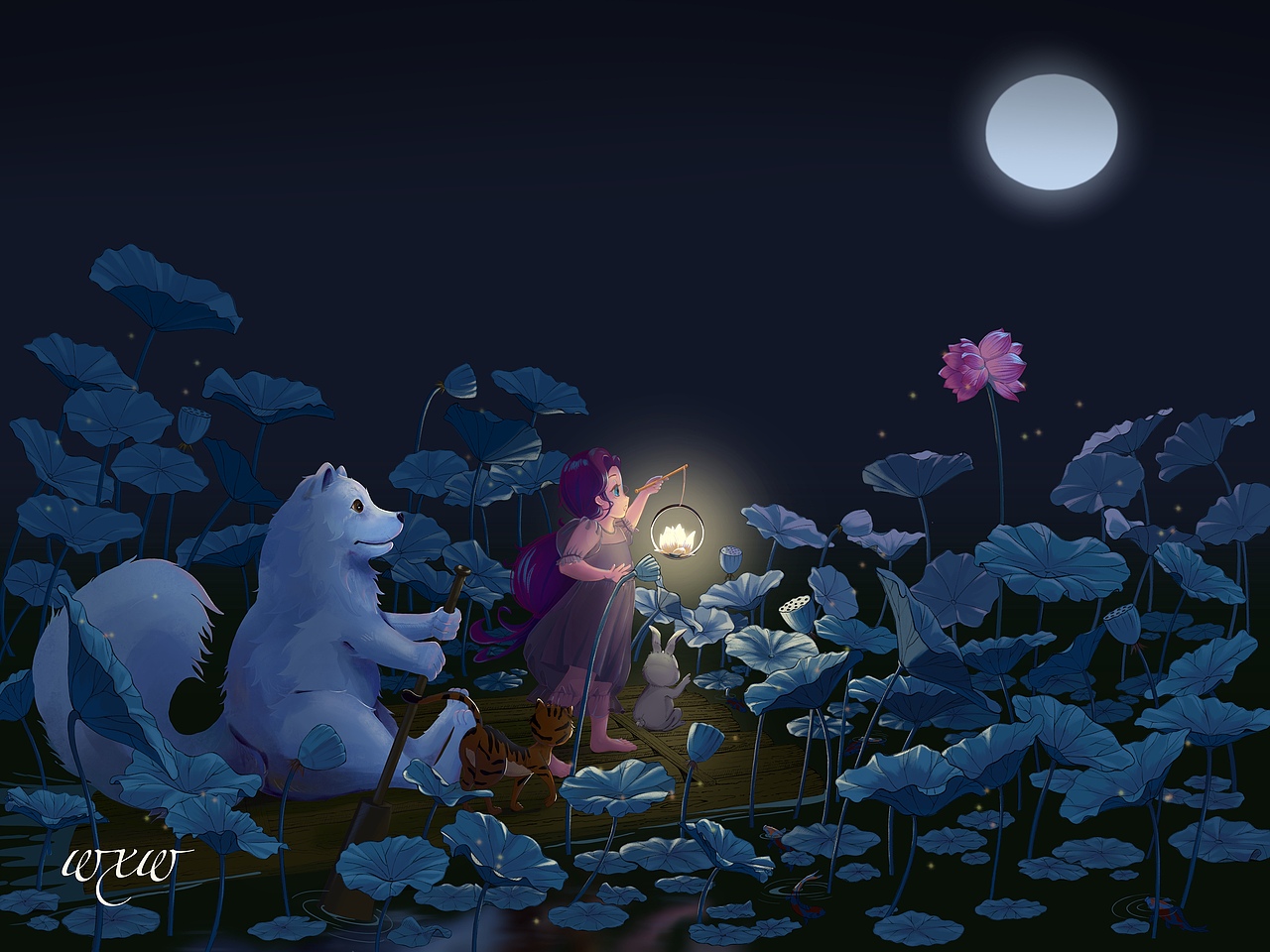 盛夏寻找那一朵并蹄莲