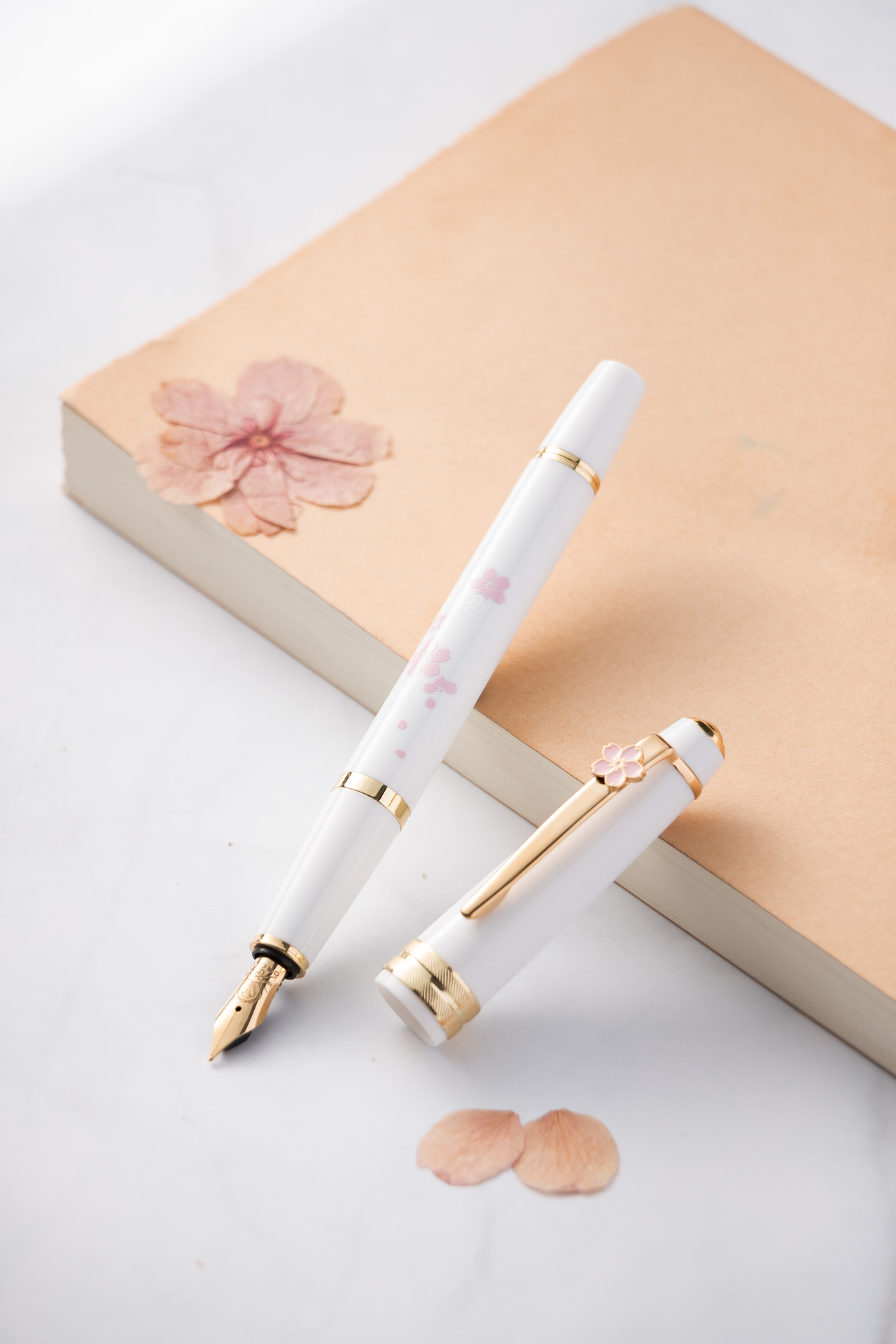 【文创】笔上生花,郁金香的优雅浪漫