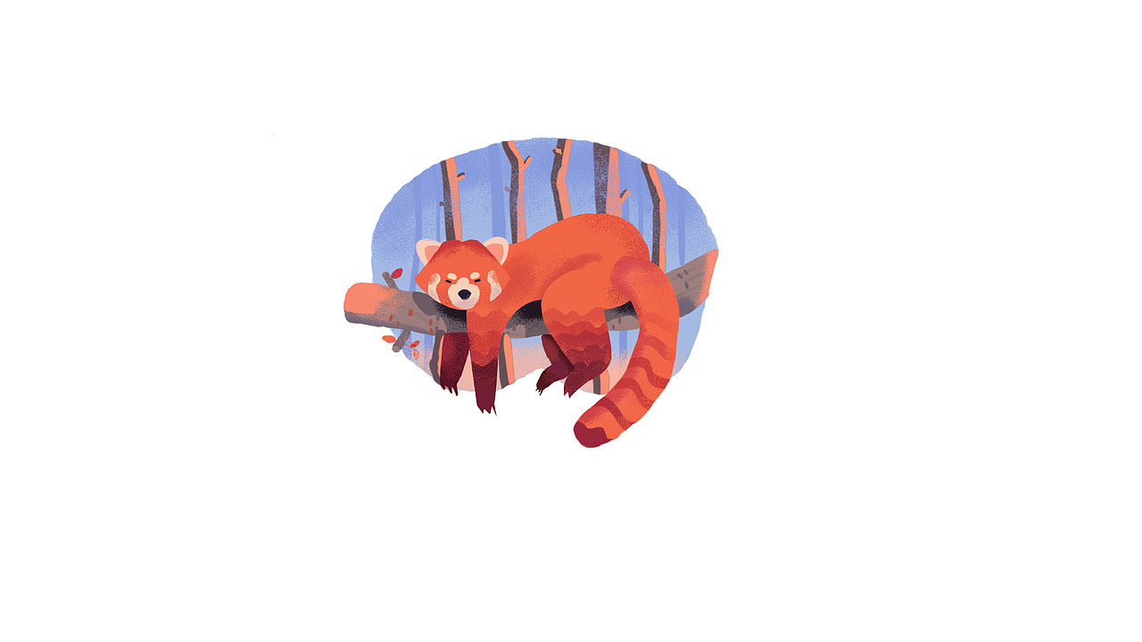 小浣熊