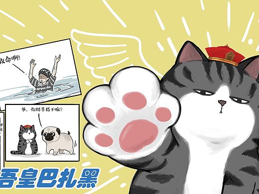 会算命的猫，眼神那是特别的好