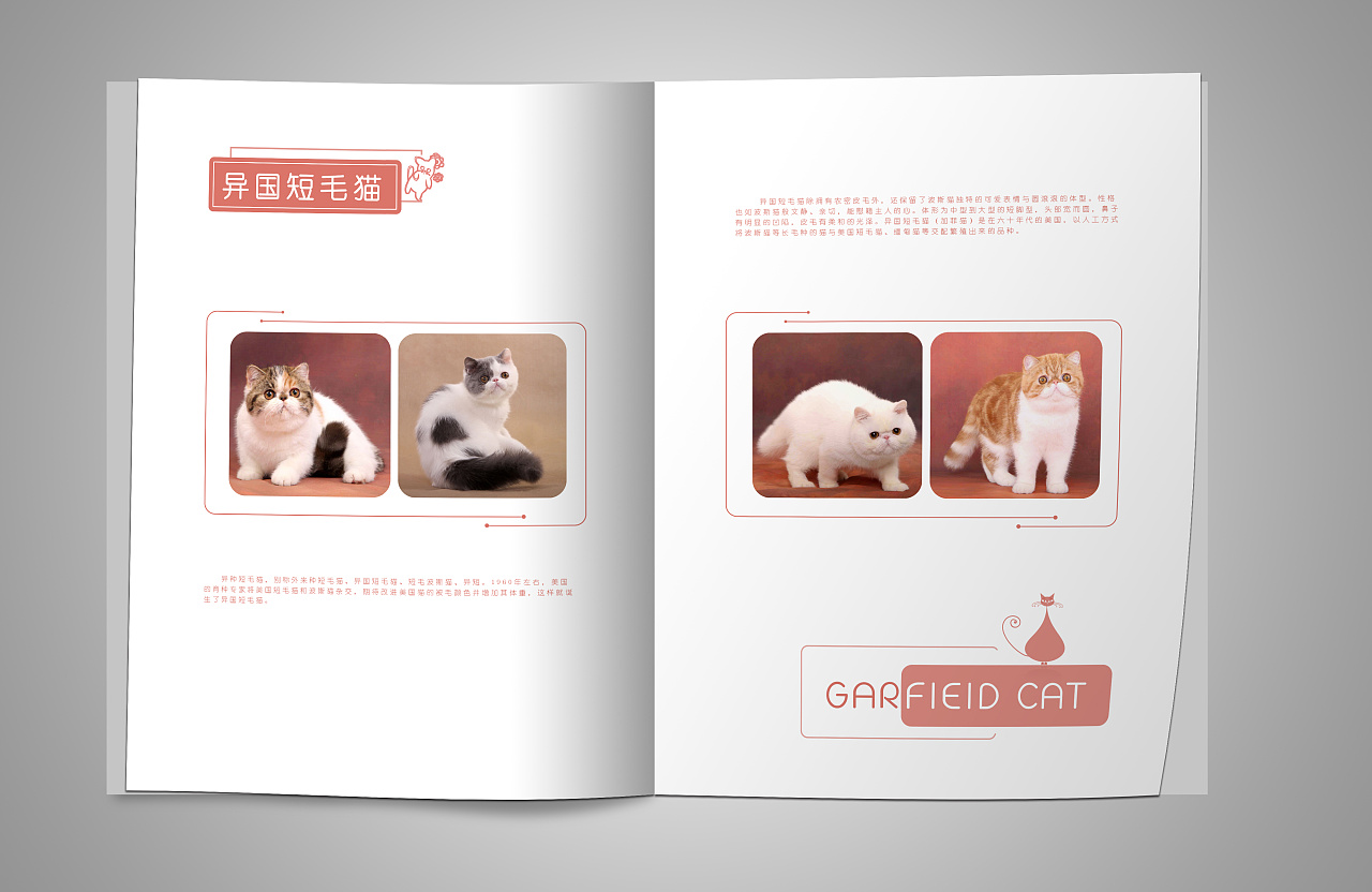 平面:宠物画册