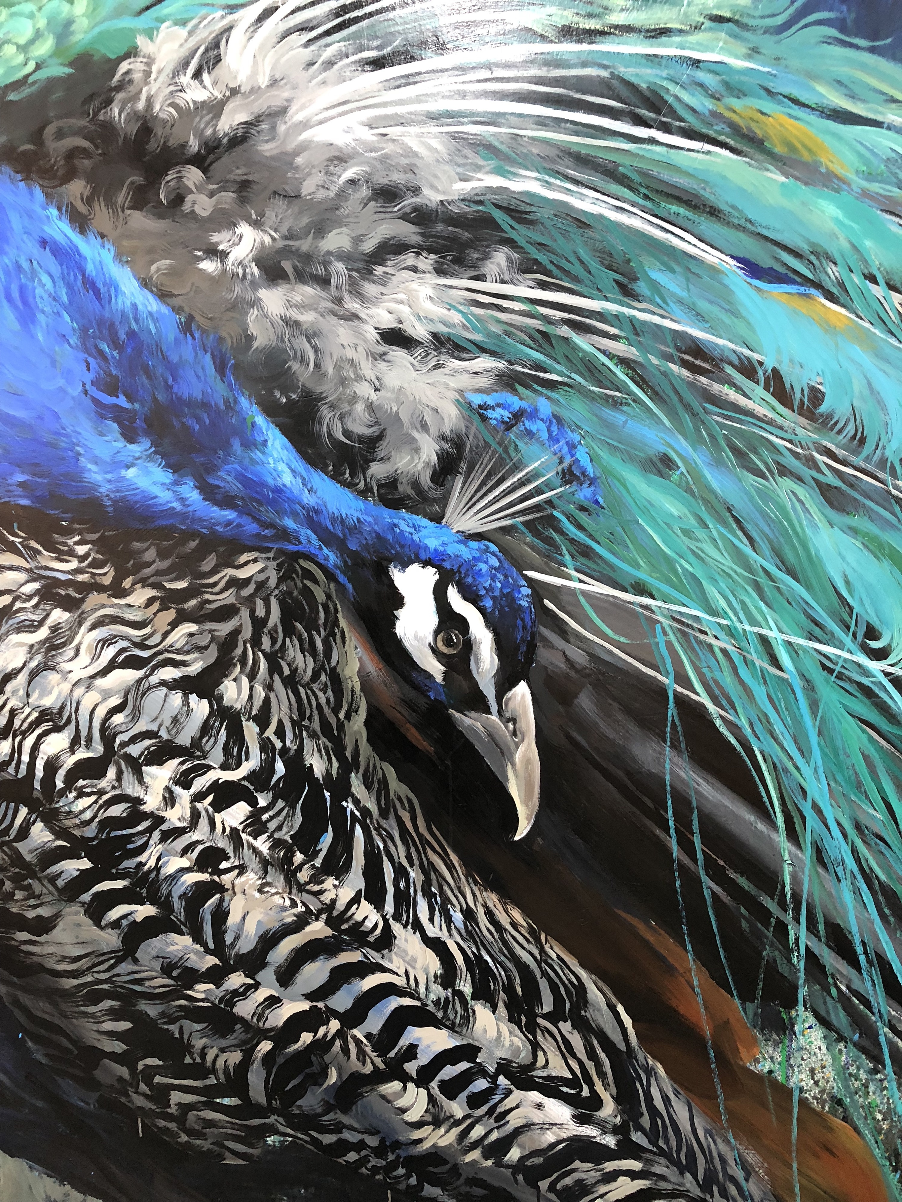 泼墨孔雀|纯艺术|油画|逅山亮 - 原创作品 - 站酷 (zcool)