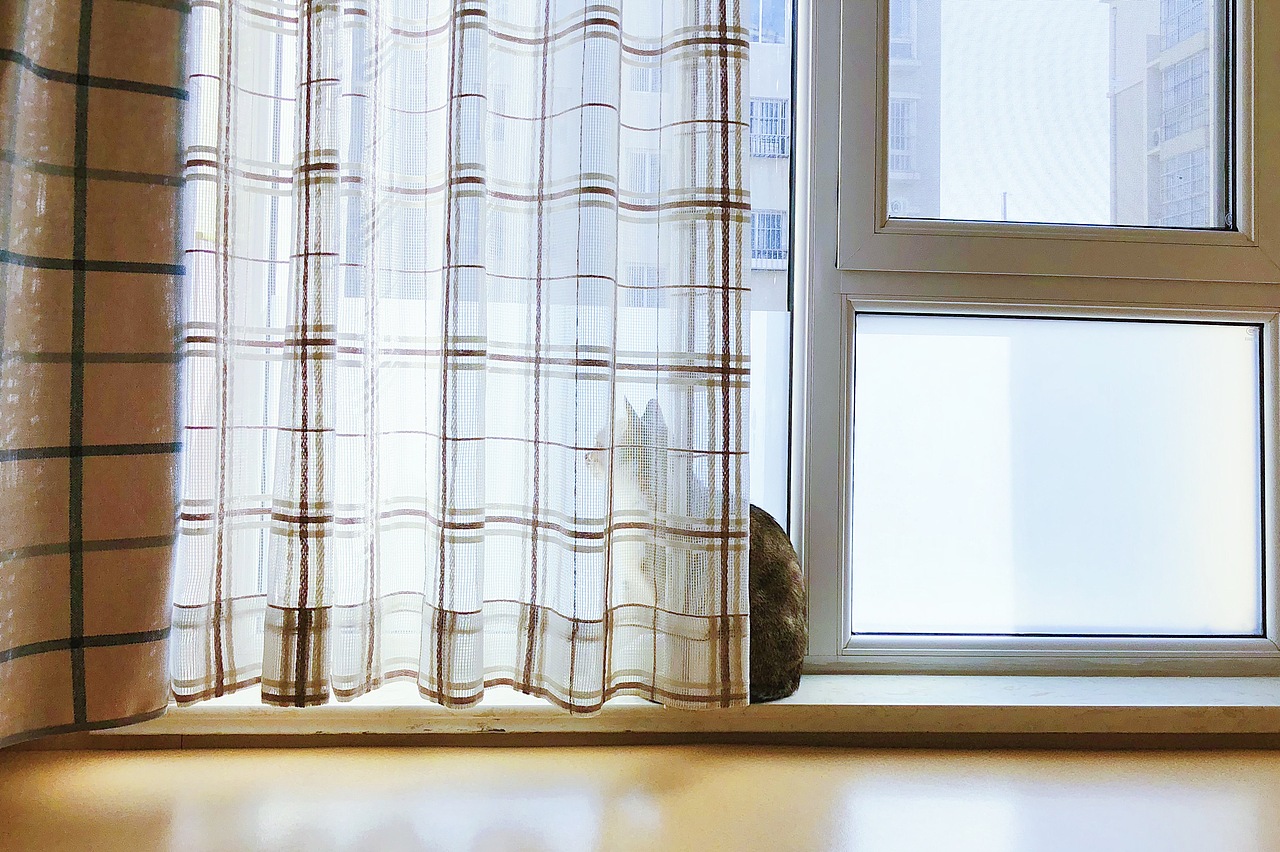 布丢还在的时候的照片，现在只剩回忆