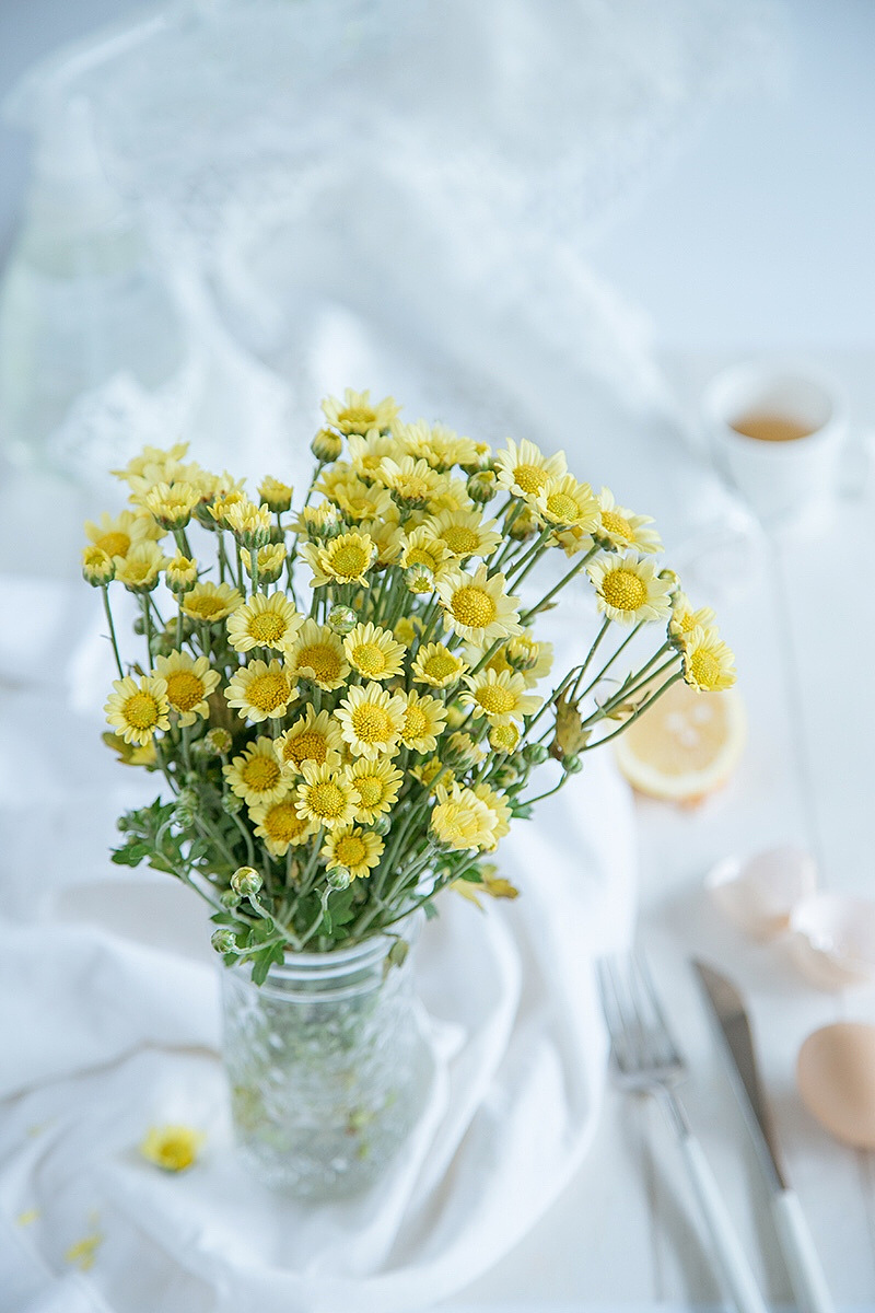 半途而废,怀抱热望