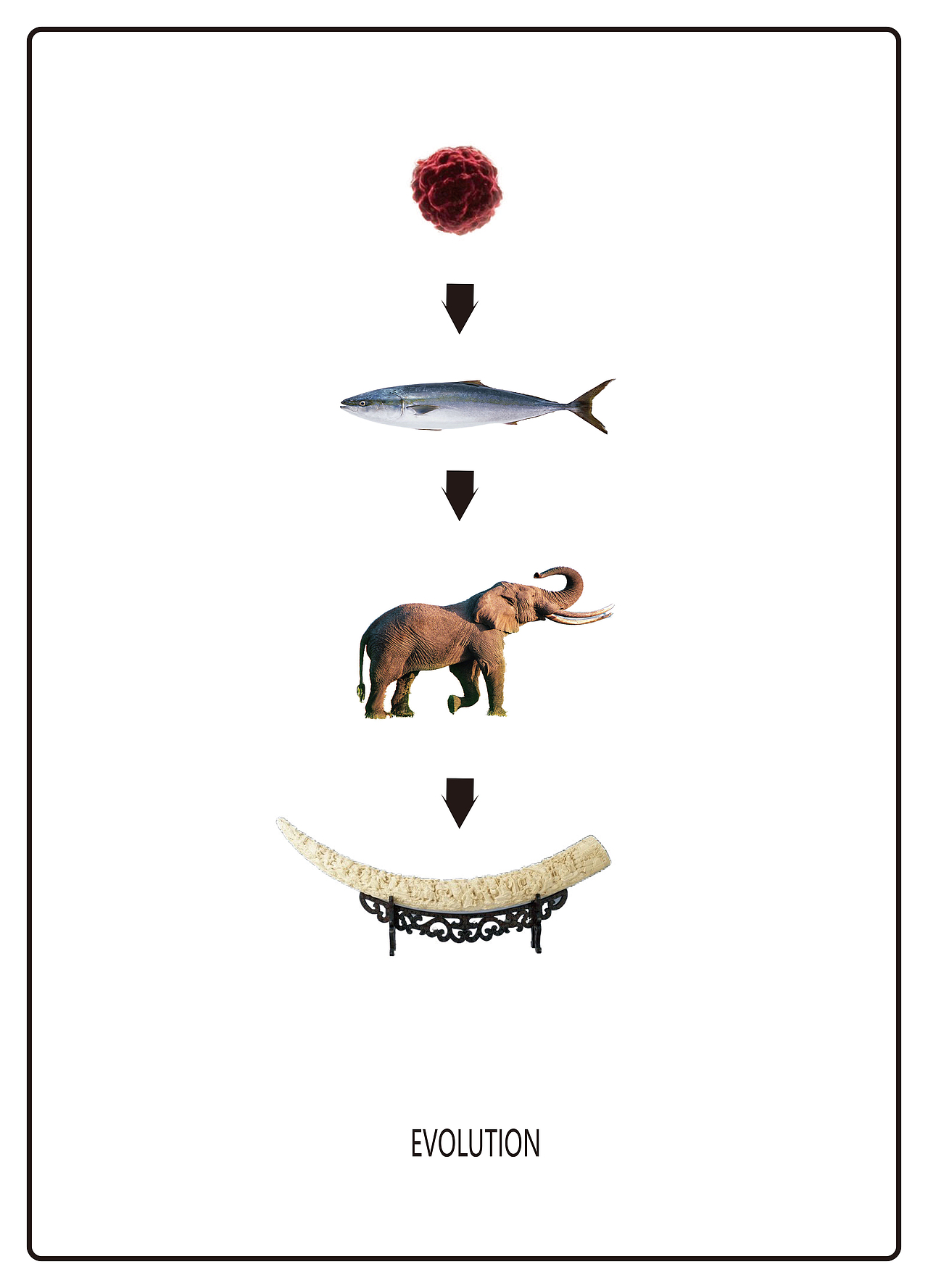 保护动物宣传海报