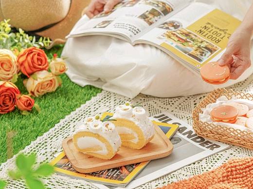 美食摄影  野餐 奶油蛋糕瑞士卷