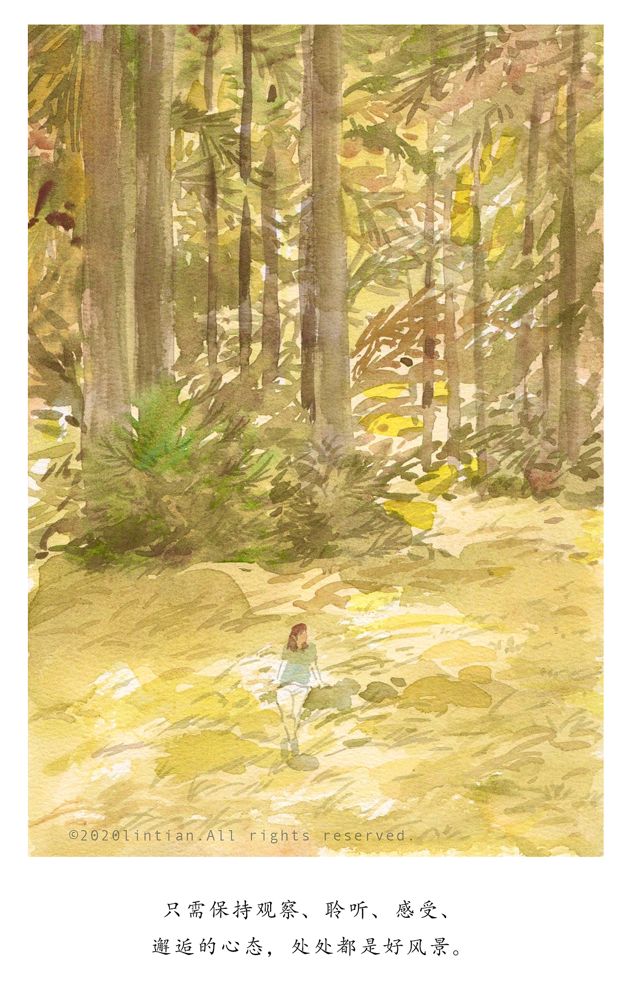 四季插画回顾 |林田原创