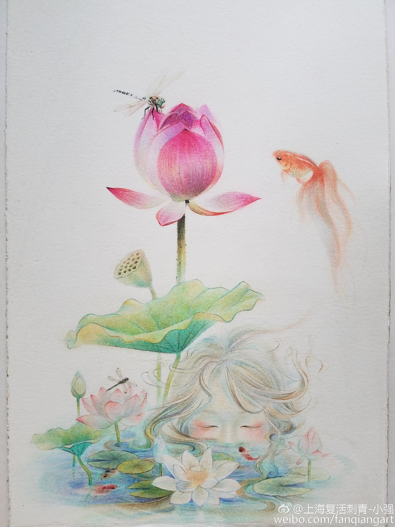 原创彩铅《莲花和鱼》|插画|创作习作|九泽tattoo_原创作品-站酷zcool