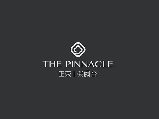 地产类-武汉正荣光谷项目视觉思路-2