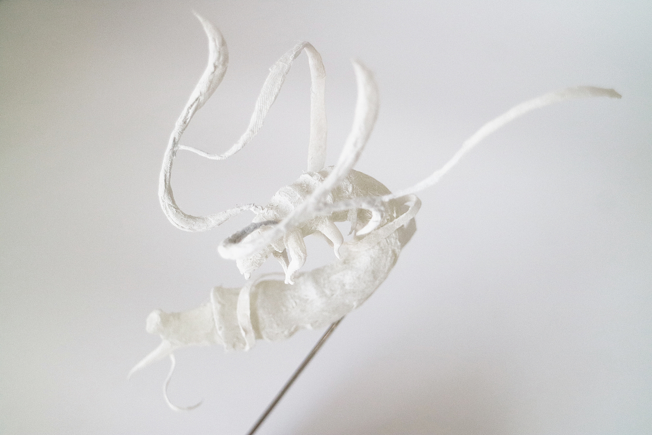 《诗经》中的昆虫（图ZMTcxMDk3NzA4） - 手办/模玩 - 站酷设计师鱿小哉原创素材 - 站酷ZCOOL