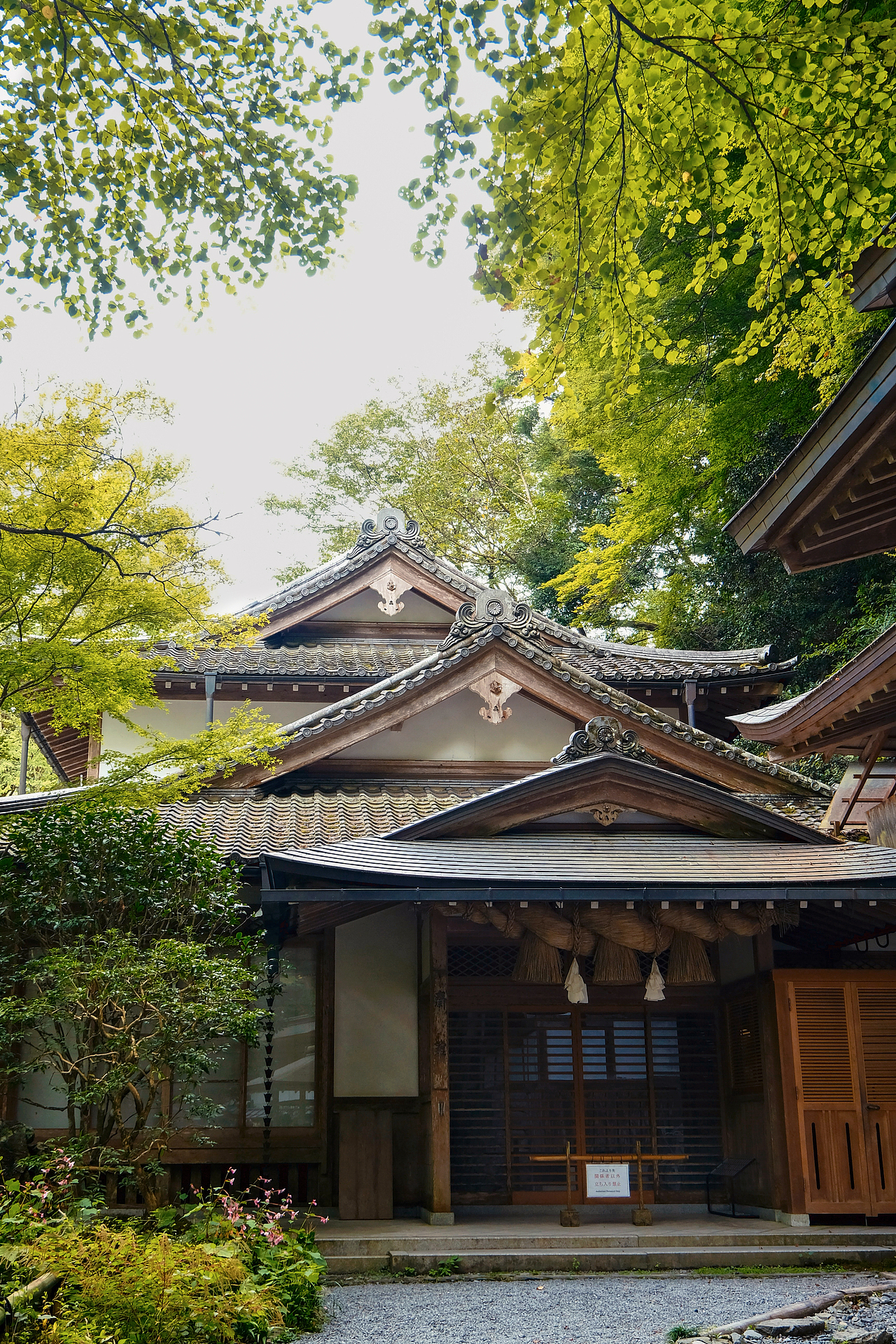 在熊野古道感受今年最后的夏天
