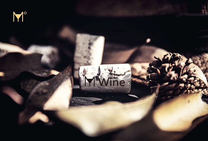 《2016-蜜度品牌设计》