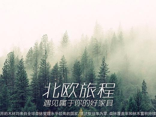 一款北欧家具首页