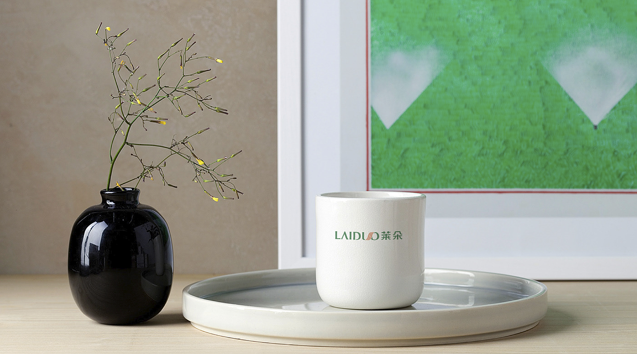 原创 莱朵 毛巾品牌logo-vi设计字体设计（图ZMTY2MDkyMTg4） - 品牌 - 站酷设计师LOOOLI原创素材 - 站酷ZCOOL