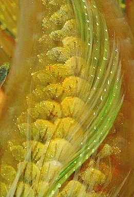 《鳌鱼》《遛浪地球》四月树脂画（图ZMjA1MjcxODky） - 其他手工艺 - 站酷设计师跃然脂上原创素材 - 站酷ZCOOL