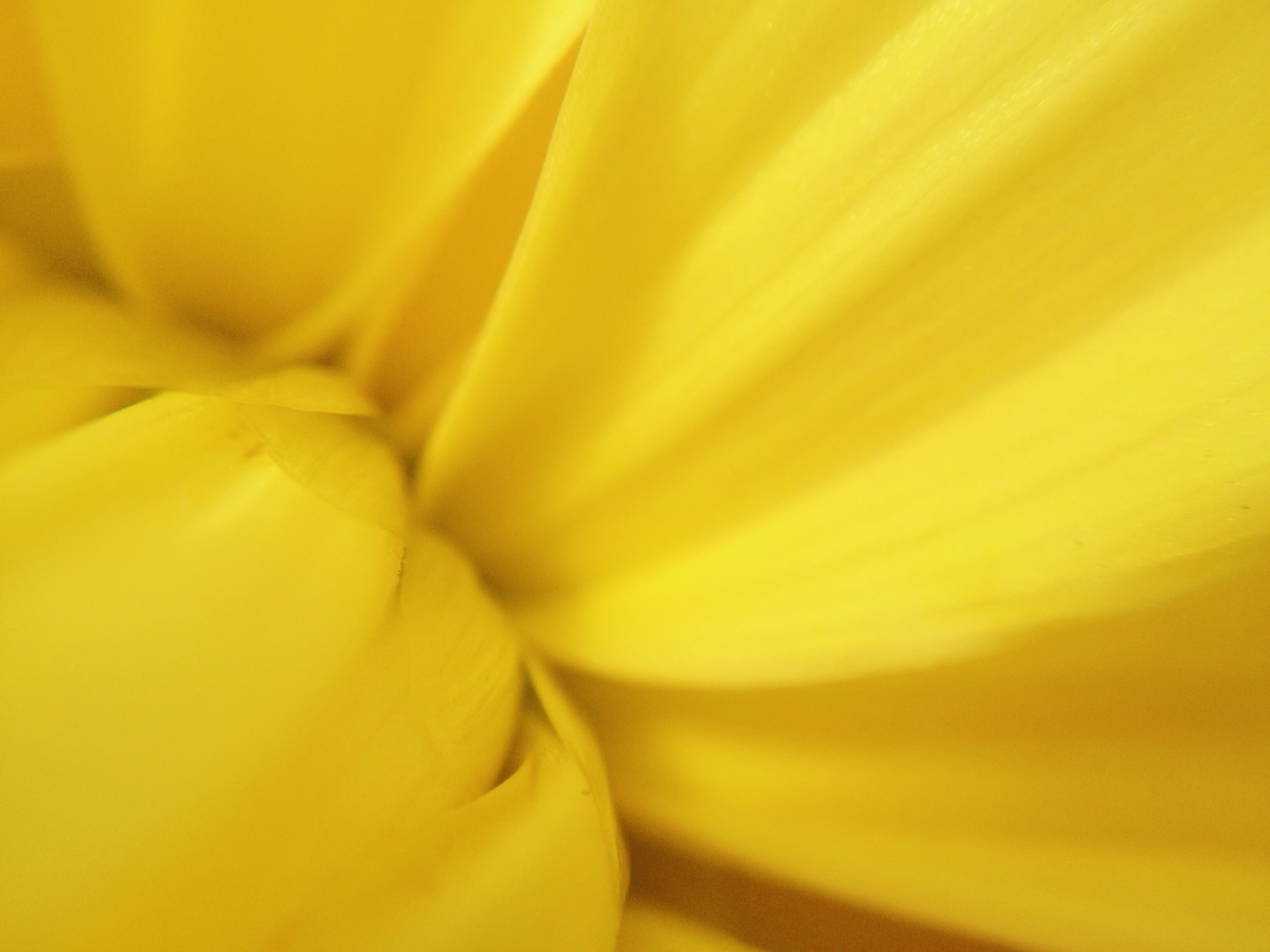 hbbbbbbb的个人主页（封面预览） - 主页封面设置 - 站酷设计师hbbbbbbb原创素材 - 站酷ZCOOL