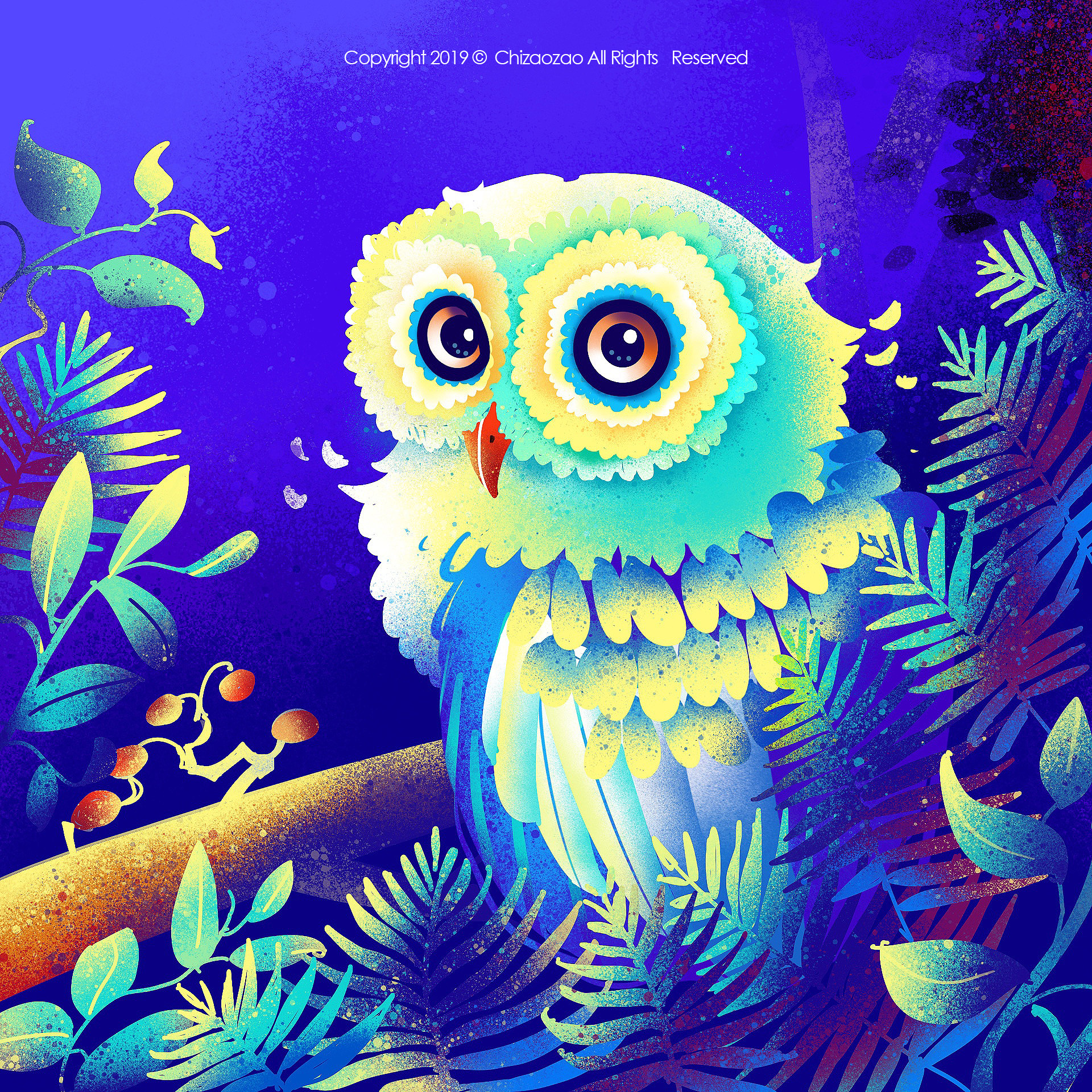 动物插画-猫头鹰 斑马 鲸鱼