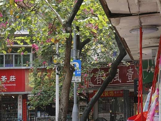 广州·随拍（个人主页-ZNTM0NjM5MTI=） - 环境/建筑摄影 - 站酷设计师summersummer1122原创素材 - 站酷ZCOOL