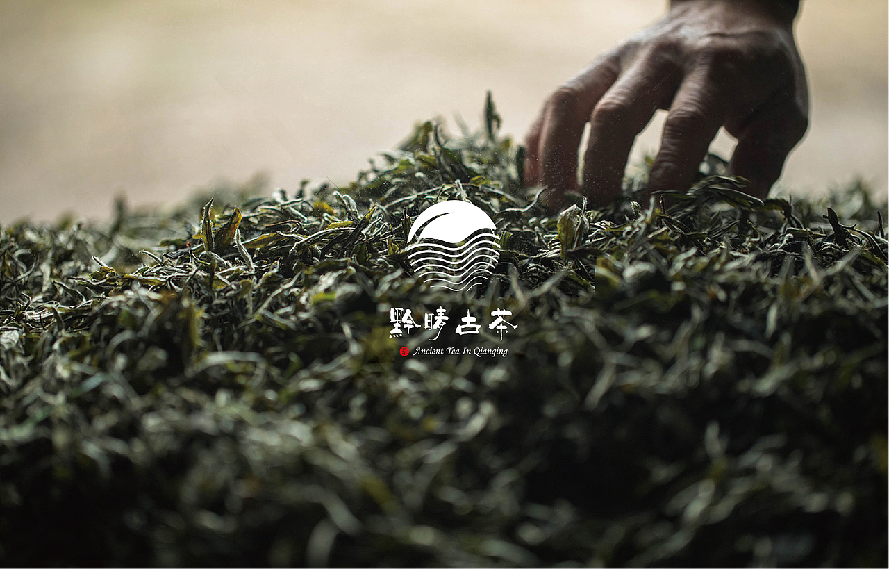 黔晴古茶（图ZMTM2MzY0MzI0） - Logo - 站酷设计师我也看过那片荒凉原创素材 - 站酷ZCOOL