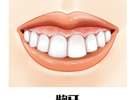 牙齿