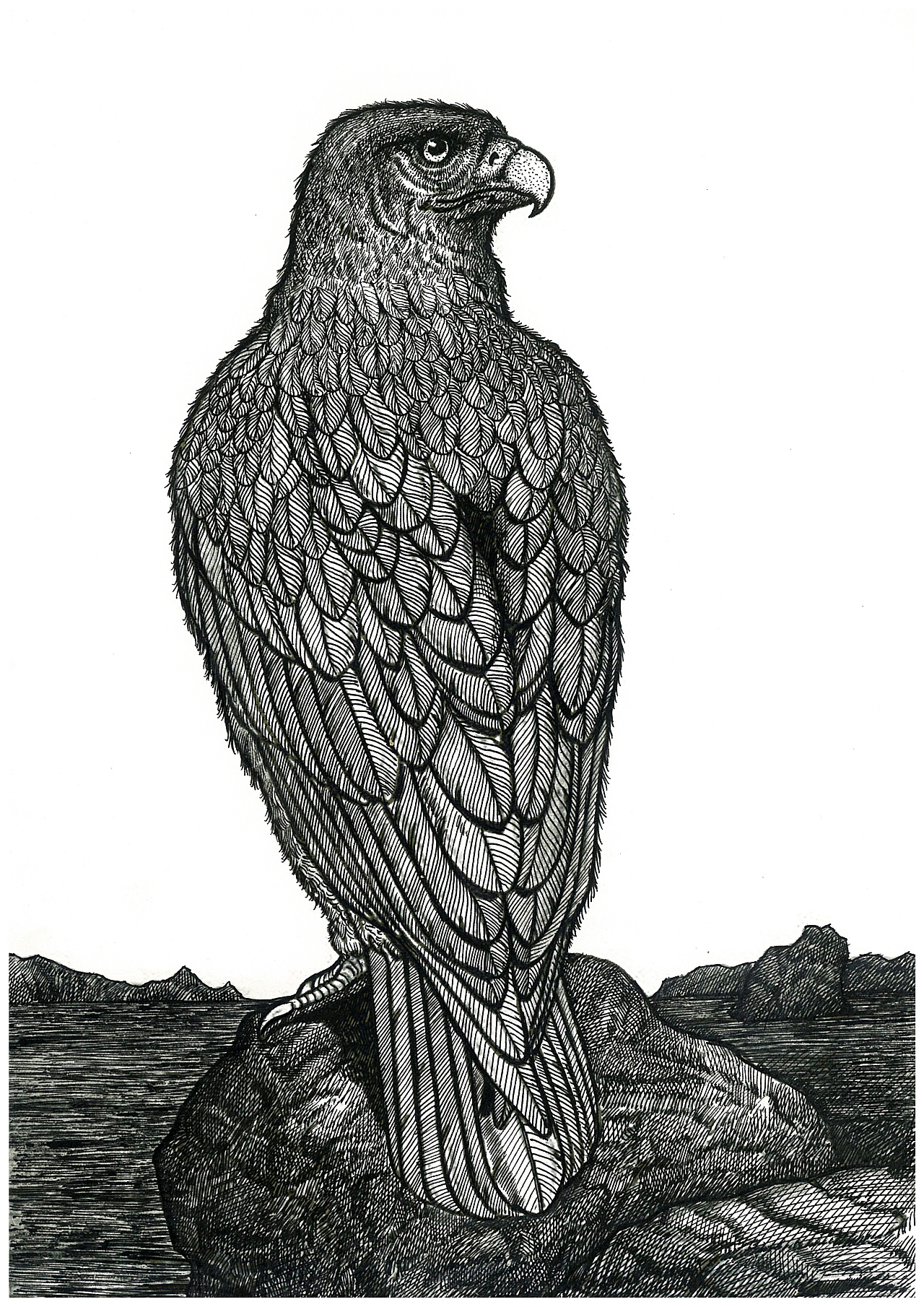 不忘初心保定|插画师