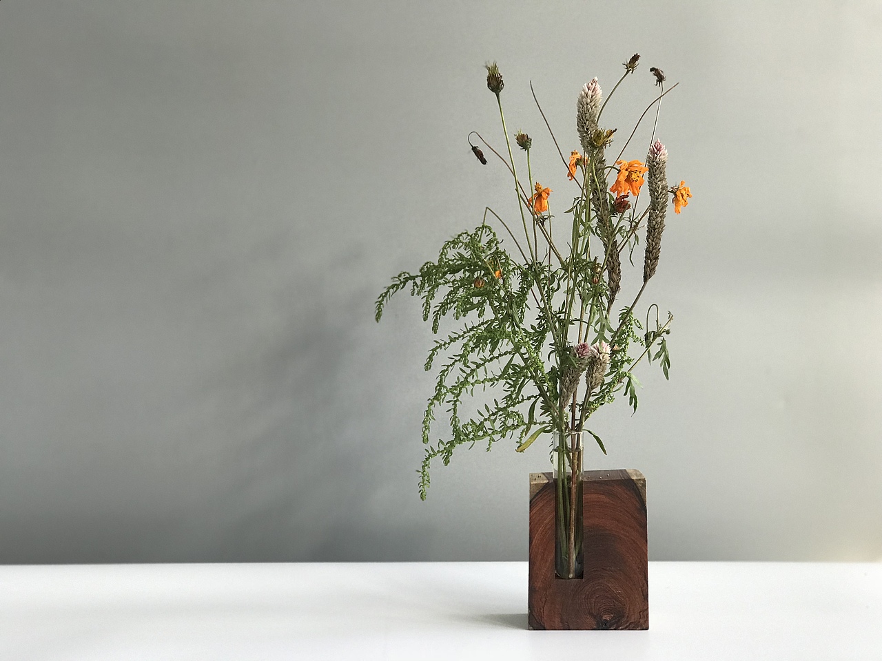 花器 Floral organ（图ZOTg0NTgxMDQ=） - 实验艺术 - 站酷设计师谈木集原创素材 - 站酷ZCOOL