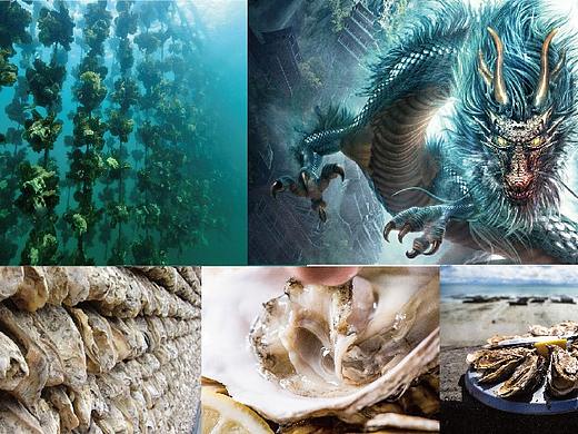 蚝龙-生蚝创意坊