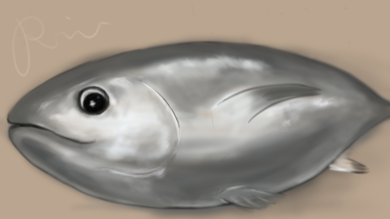 画一个doge鱼？（图ZMTY3MDIzMDM2） - 艺术插画 - 站酷设计师HAYAHyashi原创素材 - 站酷ZCOOL