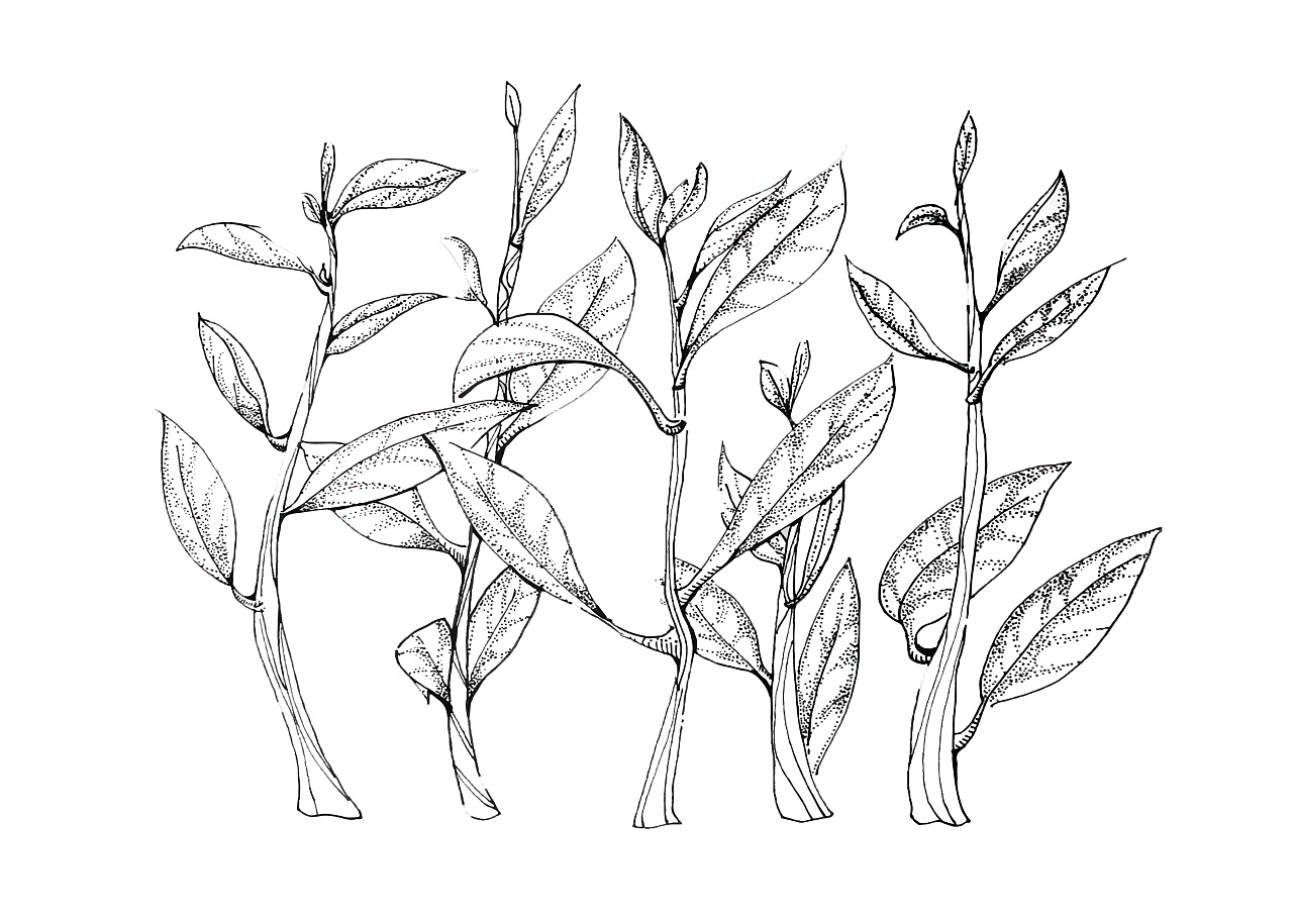 福建闽南食品包装设计