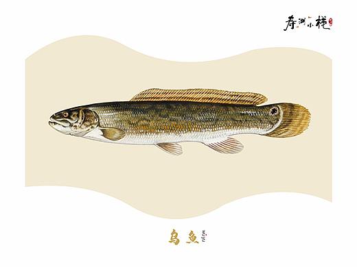 《鱼》
