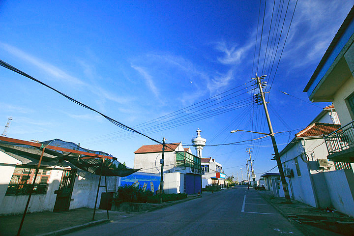 芦潮港的日与夜