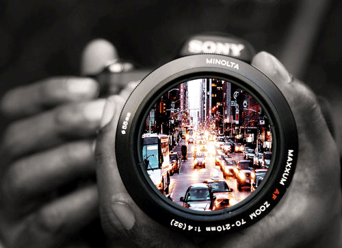 喵師太的個(gè)人主頁（封面預(yù)覽） - 主頁封面設(shè)置 - 站酷設(shè)計(jì)師喵師太原創(chuàng)素材 - 站酷ZCOOL