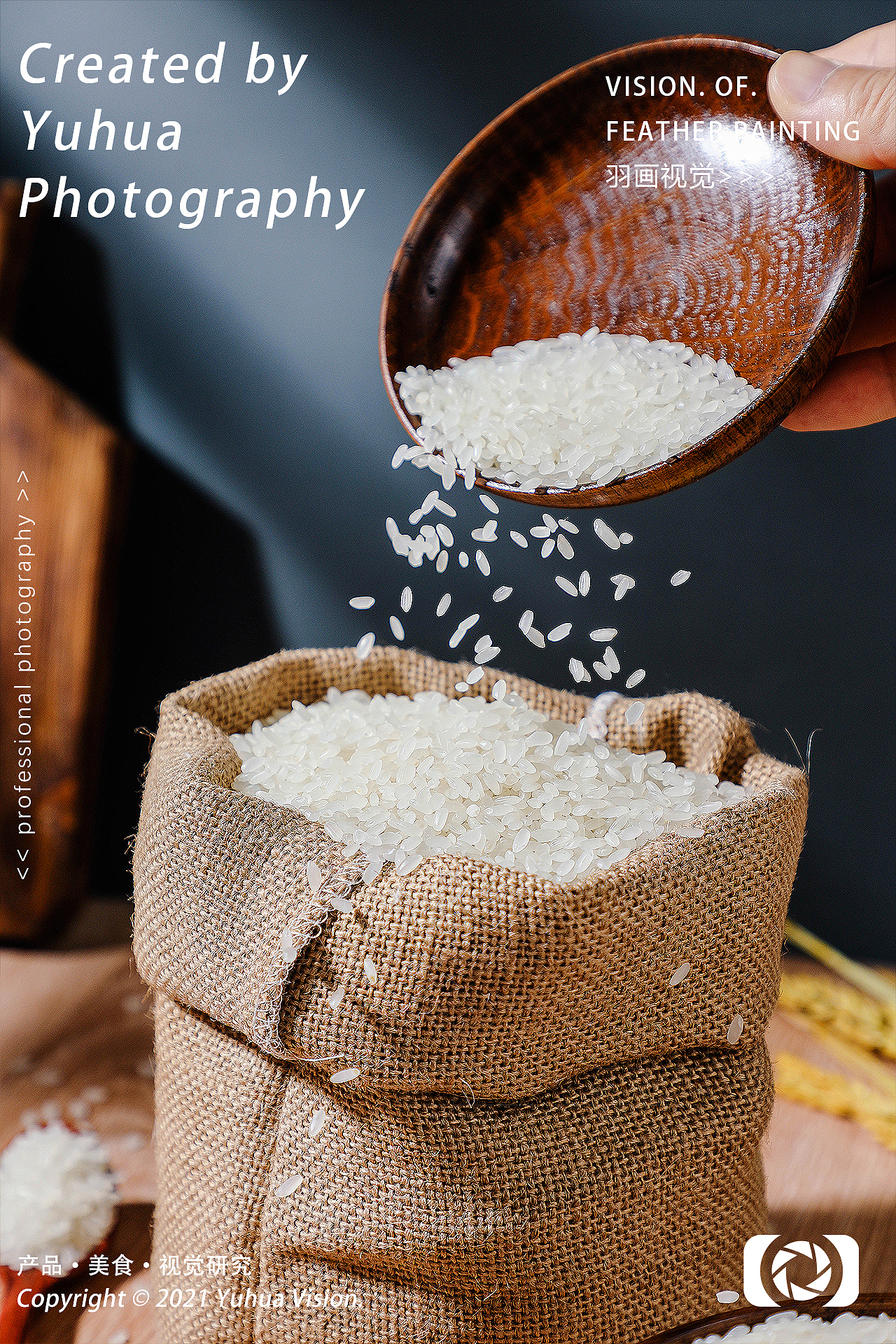 大米微景观长粒香五常大米糙米饭东北大米粮食糯米小米