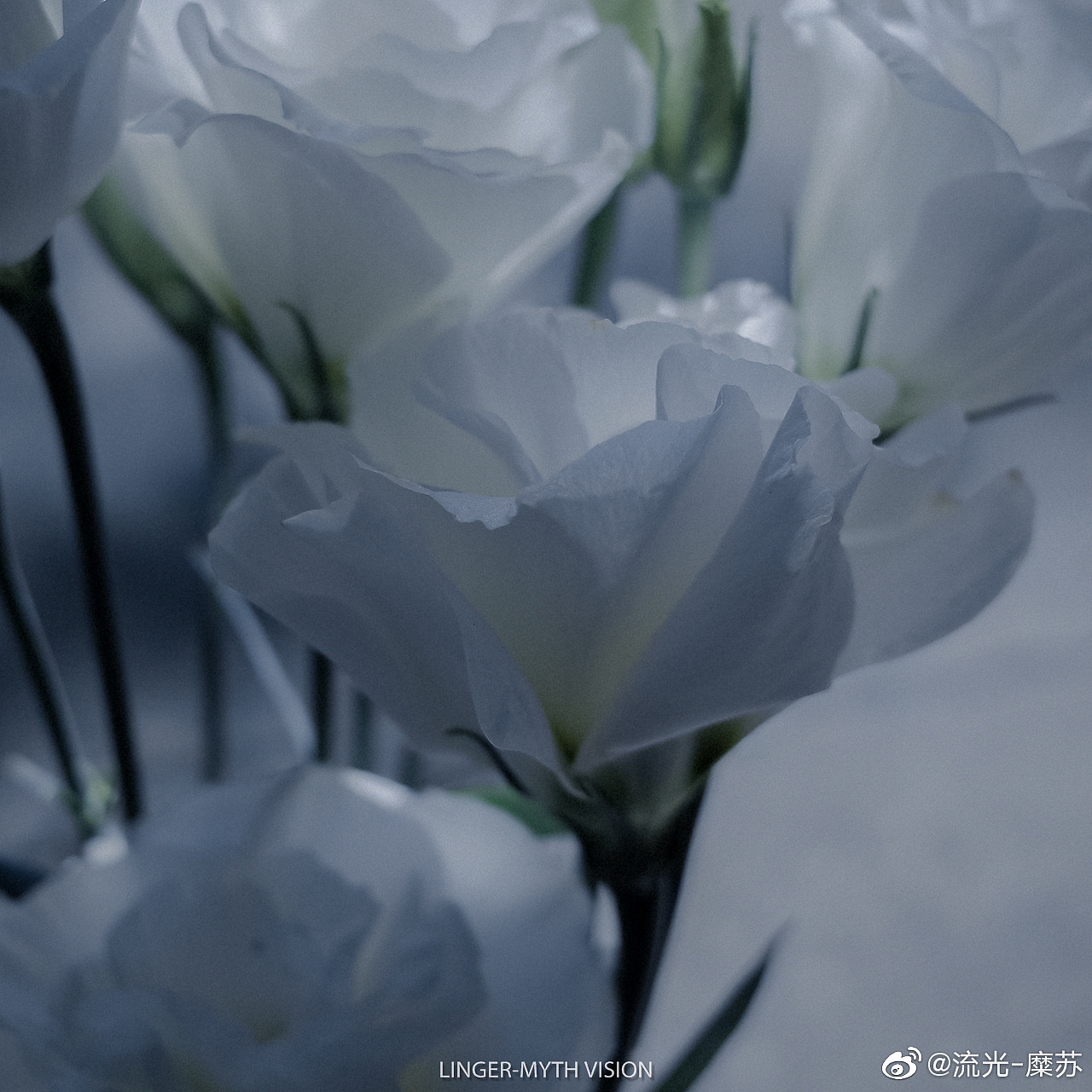 记忆是蓝色的（图ZMjU4MzIyNTg4） - 修图/后期 - 站酷设计师流光糜苏原创素材 - 站酷ZCOOL