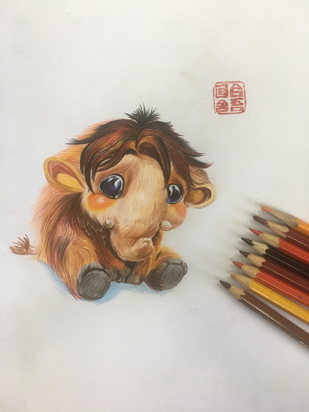 彩铅画动物—萌萌的小象