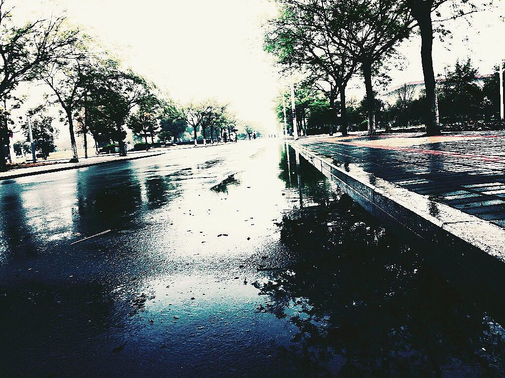 那一年，我的校园，我们的月亮岛