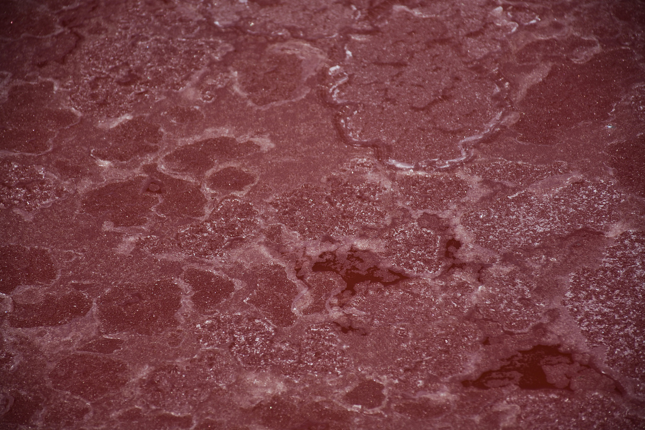 有些湖水因为盐分的原因，变得特别的红