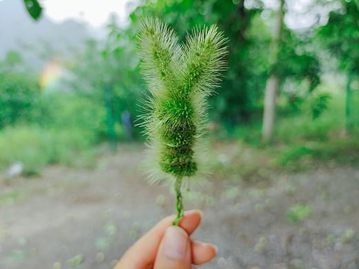 啥也不是（个人主页-ZNTg1NTA2MzI=） - 风光摄影 - 站酷设计师风萧萧玺易水寒原创素材 - 站酷ZCOOL