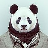 今天不啃饭的头像