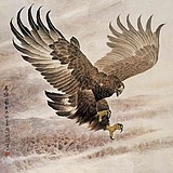 荆棘鸟设计画师的头像