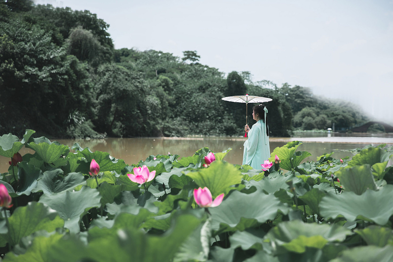 荷花汉服