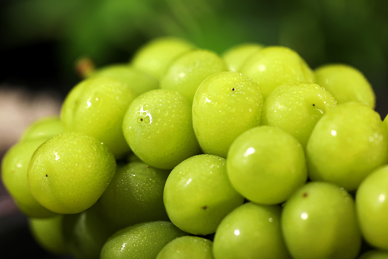 阳光玫瑰葡萄静物拍摄