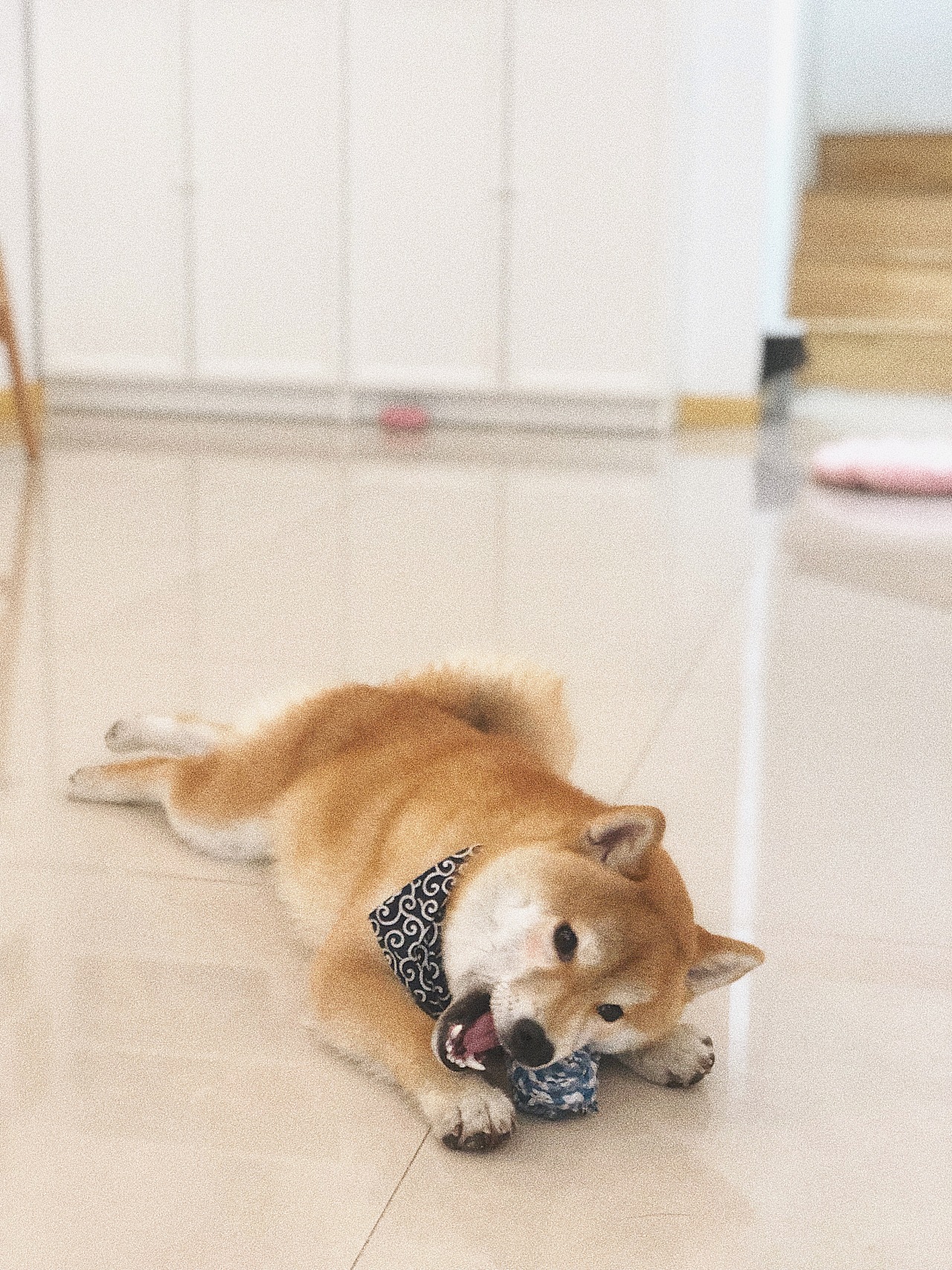 萌化夏天的废柴