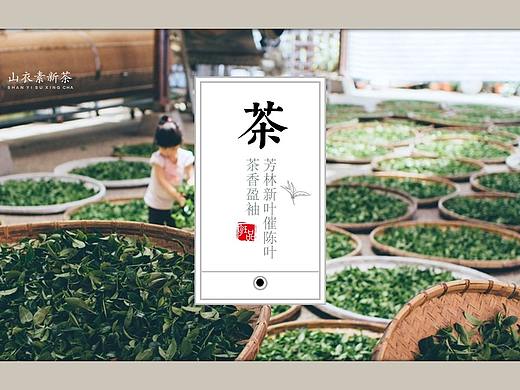 茶叶礼盒包装设计PPT展示模板