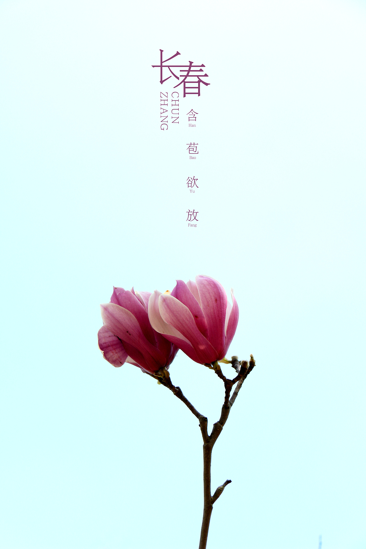 待放（图ZNzU2MzgzMDA=） - 产品摄影 - 站酷设计师马鹏原创素材 - 站酷ZCOOL