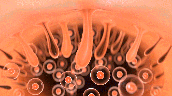 产品动画渲染 | NanoTime 冰钻脱毛仪