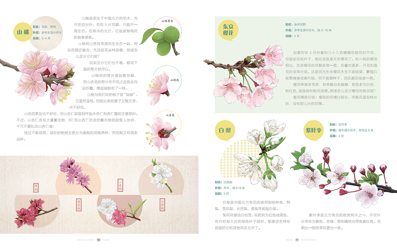 去野外-奇花异草（图ZMjgxMzIyMDMy） - 儿童插画 - 站酷设计师高傲的喵原创素材 - 站酷ZCOOL