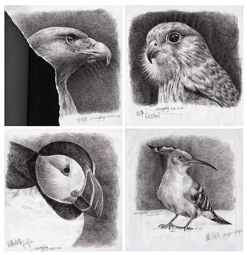 钢笔画鸟儿一组