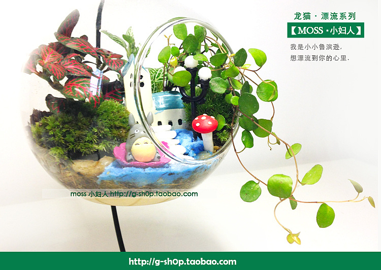 一盆小森林（图ZMjU0NTAyNTY=） - 其他手工艺 - 站酷设计师o0azhu0o原创素材 - 站酷ZCOOL