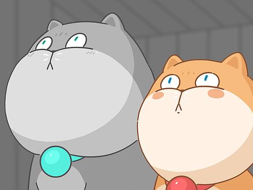 如何牢牢的吸住一只猫